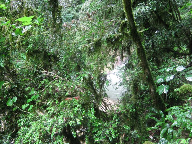 33-site22