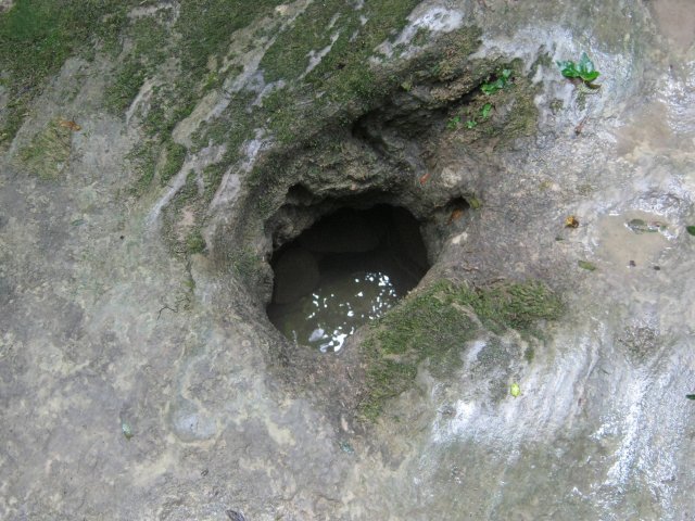33-site46
