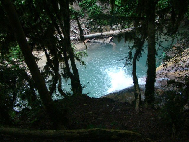 вода в ручье чистейшая