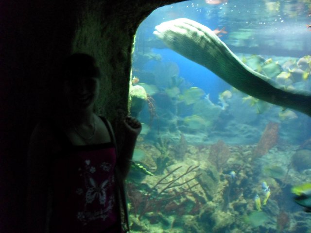 oceanarium-riviera43