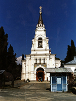 Конные прогулки в Красной поляне